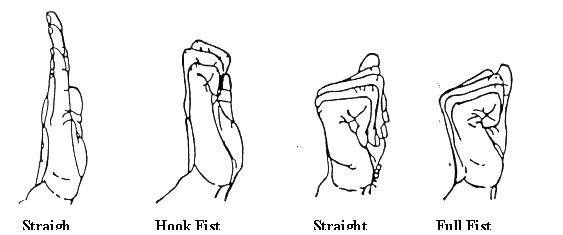 "The three different positions of tendon gliding exercises: hook fist, straight fist, and full fist."